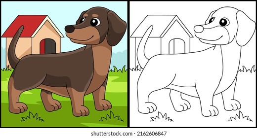 Dachshund Dog Coloring Page Colored Illustration