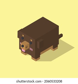 Dachshund dog cubic isometric on yellow background