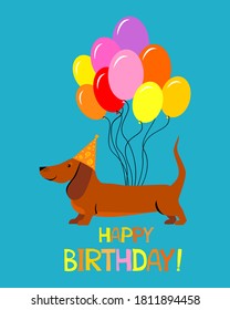 Dachshund dog. Cute cartoon character. Balloons and hat. Happy Birthday greeting card. Flat design. Kid greeting card template. Vector illustration