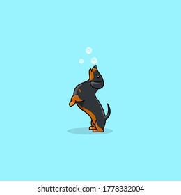 Dachshund Dog Cute Jump With Bubble Vector Logo.