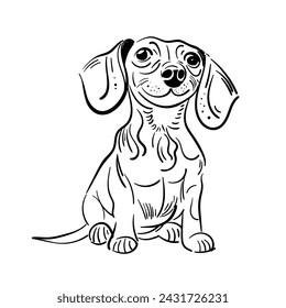 Perro Dachshund. Lindo cachorro. Dibujado a mano. Ilustración vectorial. Dibujo o esquema de boceto