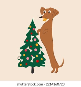 Dachshund dog decorates a Christmas tree vector illustration on white background