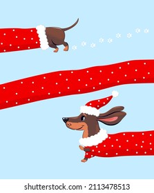 Dachshund dog in a festive Christmas costume. Red clothes with polka dots. Cute character in a hat. Vector print.