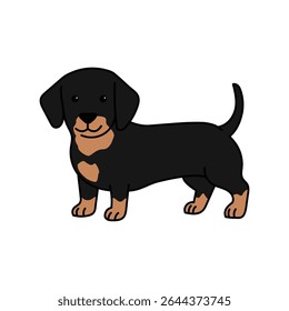 Dachshund dog flat character vector design