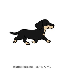 Dachshund dog flat character vector design