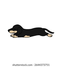 Dachshund dog flat character vector design