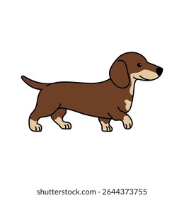 Dachshund cão design de vetor de caráter plano