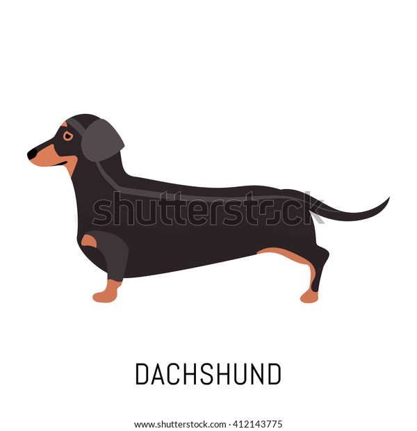 Dachshund Dog Flat Icon Isolated On Stock Vector Royalty Free 412143775