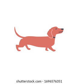 Dachshund Dog Flat vector illustration on white background set