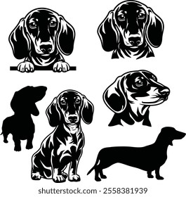 Dachshund Dog Head Pet Bundle