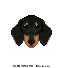 Dachshund dog head in pixel art style. Vector illustration.