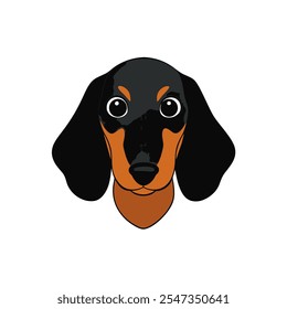 dachshund Dog head vector illustration 