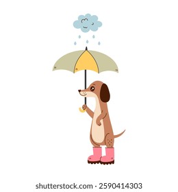 Dachshund Dog Holding Umbrella. Cute puppy and rubber boots standing under rain cloud. Spring season pet vector illustration. Springtime animal