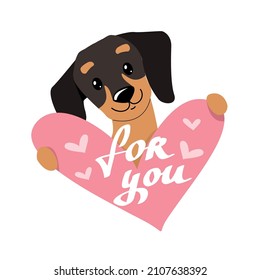 Dachshund dog holds a heart and an inscription for you. Vector illustration for valentine's day