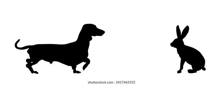 Dachshund dog hunter chasing prey rabbit vector silhouette illustration isolated on white background. Dog hunting hare rabbit shape. Domestic farm animal predator vs prey. Dachshund dog silhouette.