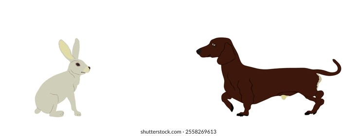 Dachshund dog hunter chasing prey rabbit vector illustration isolated on white background. Dog hunting hare rabbit. Domestic farm animal predator against prey.