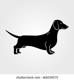 Dachshund dog icon isolated on white background.