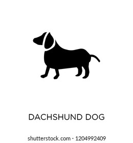 Dachshund dog icon. Dachshund dog symbol design from Dogs collection. Simple element vector illustration on white background.