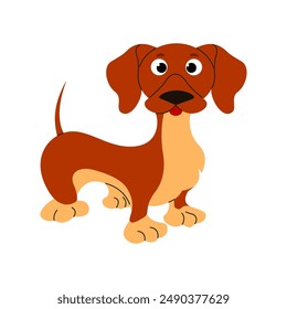 Dachshund dog illustration. Hand drawn pedigree dog. Sausage dog. Domestic animal
