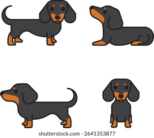 Dachshund dog illustration various poses