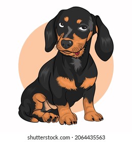 a Dachshund Dog is imagining something