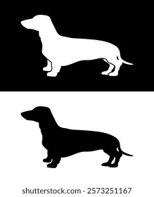 Dachshund dog isolated on black and white background. Vector black silhouette 