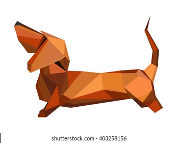 Dachshund dog isolated on white.  Vector Illustration
, 