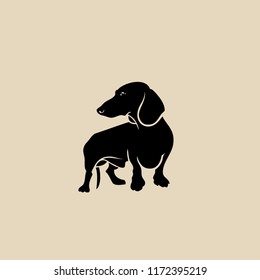 Dachshund dog - isolated vector illustration