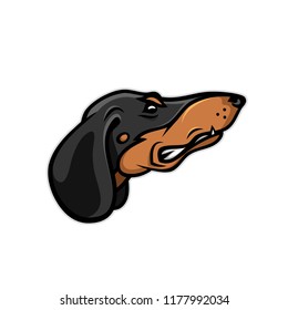 Dachshund dog - isolated vector illustration
