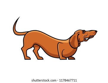 Dachshund dog - isolated vector illustration