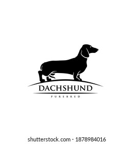 Dachshund dog - isolated vector illustration