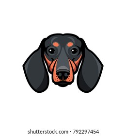 Dachshund dog - isolated vector illustration