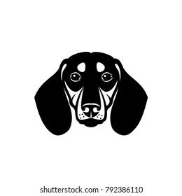 Dachshund dog - isolated vector illustration