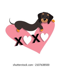 El perro de Dachshund yace en un corazón para el día de San Valentín sobre un fondo blanco aislado. Caricatura vectorial