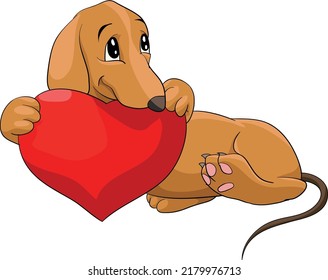 The dachshund, dog, lies with red heart in his mouth svg