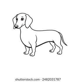 Dachshund dog line art for kids