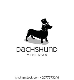 dachshund dog logo wearing cowboy hat vector illustration