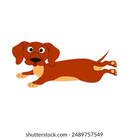 Dachshund dog lying. Hand drawn sausage dog.  Friend