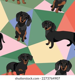 Dachshund dog on a mosaic geometric background. Funky, colorful vibe, rainbow colors palette. Simple, clean, modern texture. Geometric, polygon style. Summer seamless pattern with dogs.Triangles.