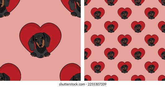 Dachshund dog with paws pattern, Valentine's day heart wallpaper. Love heart with pet head holiday texture. Dog face Holding Heart Cartoon square background. St Valentine's day present romantic paper.