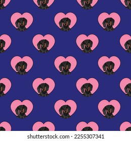 Dachshund dog with paws pattern, Valentine's day pink heart wallpaper. Love heart with pet head holiday texture. Dog face Holding Heart Cartoon square background. St Valentine's day present paper.