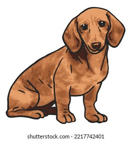 Dachshund Dog Pet Colored Drawing