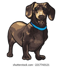 Dachshund Dog Pet Colored Drawing