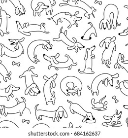 Dachshund Dog Pet Seamless Vector Pattern And Background