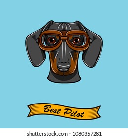 Dachshund dog pilot. Aviators glasses. Best pilot inscription. Cute dog portrait. Vector illustration