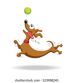 Dachshund dog playing with tennis ball. Vector illustration. Isolated on white background.