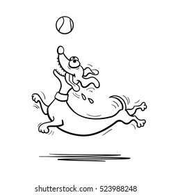 Dachshund dog playing with tennis ball. Vector illustration. Isolated on white background.