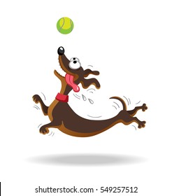 Dachshund dog playing with tennis ball. Vector illustration. Isolated on white background.