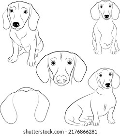 Dachshund dog poses hand drawn style vector design illustrations