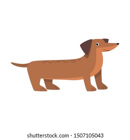 Dachshund dog. Raster illustration in flat cartoon style